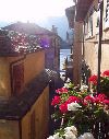 La Calla and Orchidea - beautiful apartments in the heart of Orta San Giulio